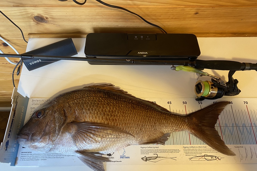 Phil Lynch caught this 58.0cm Snapper at Aldermen Islands during The Export NZ Fishing Competition