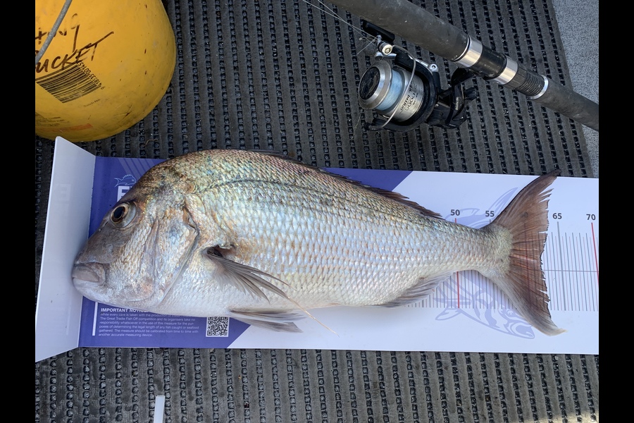 Brodie Eruera caught this 62.0cm Snapper at Whakatane  during The Export NZ Fishing Competition
