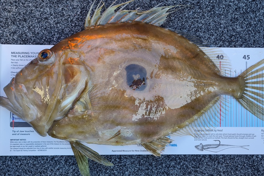 Jarrett Howe caught this 51.5cm John Dory at Anchorite during The Export NZ Fishing Competition