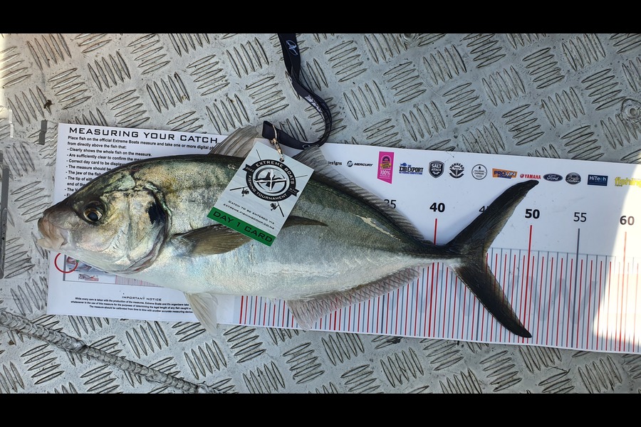 Phillip Barnes caught this 45.0cm Trevally at Whitianga during The Export NZ Fishing Competition