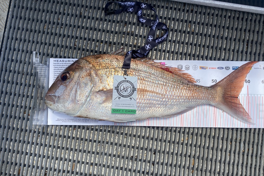 Jack McClymont caught this 57.0cm Snapper at Whitianga during The Export NZ Fishing Competition