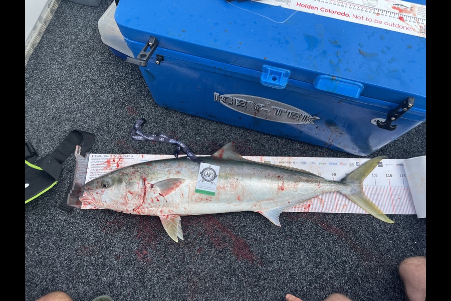 Regan Craig caught this 100.0cm Kingfish at Whitianga during The Export NZ Fishing Competition