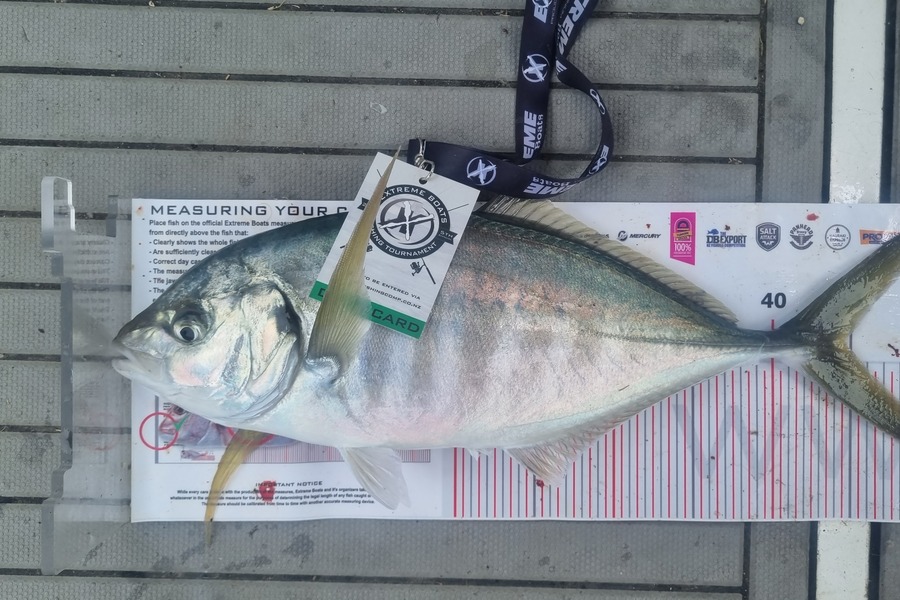 Rob Bracken caught this 44.5cm Trevally at Whitianga during The Export NZ Fishing Competition