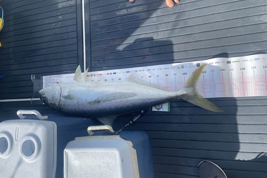 Glenn Graham caught this 106.5cm Kingfish at Whitianga during The Export NZ Fishing Competition