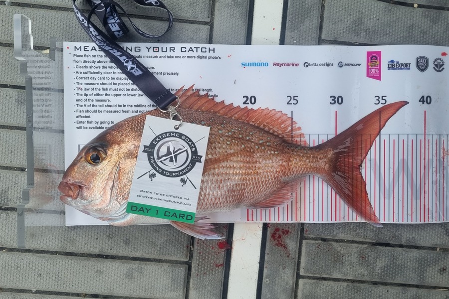 Rob Bracken caught this 32.5cm Snapper at Whitianga during The Export NZ Fishing Competition