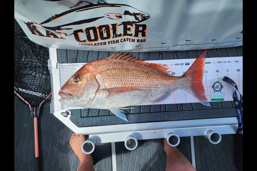 Daniel  Rowley-Anderson caught this 63.0cm Snapper at Whitianga during The Export NZ Fishing Competition