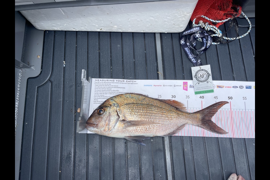 Natasha Fromont caught this 43.0cm Snapper at Whitianga during The Export NZ Fishing Competition