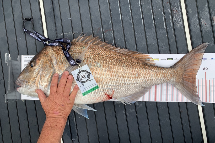 Cameron McIntosh caught this 76.5cm Snapper at Whitianga during The Export NZ Fishing Competition