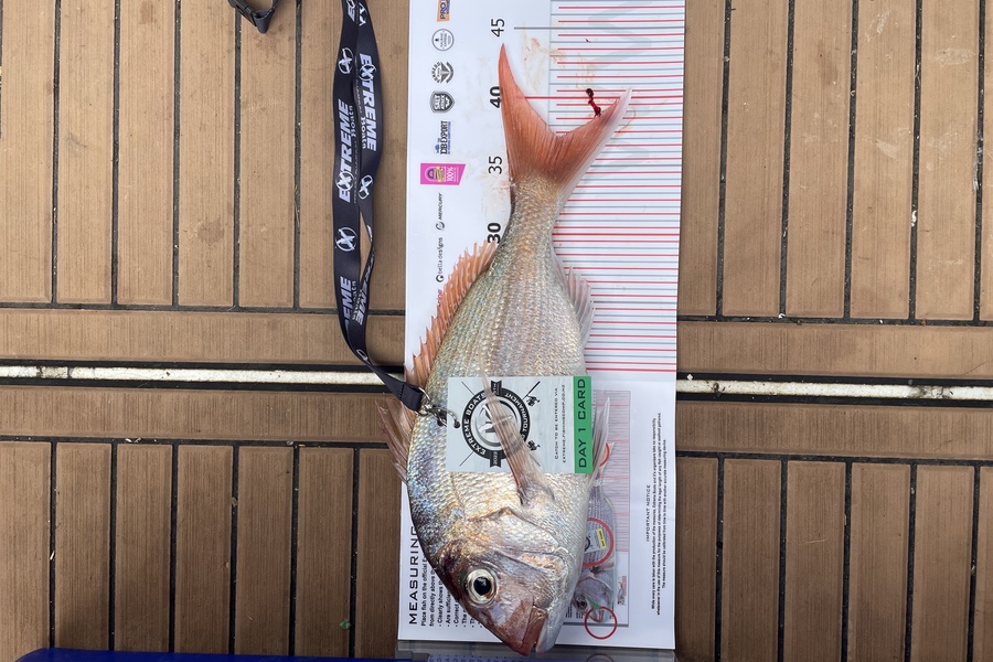 Jo Emerre caught this 37.0cm Snapper at Whitianga during The Export NZ Fishing Competition