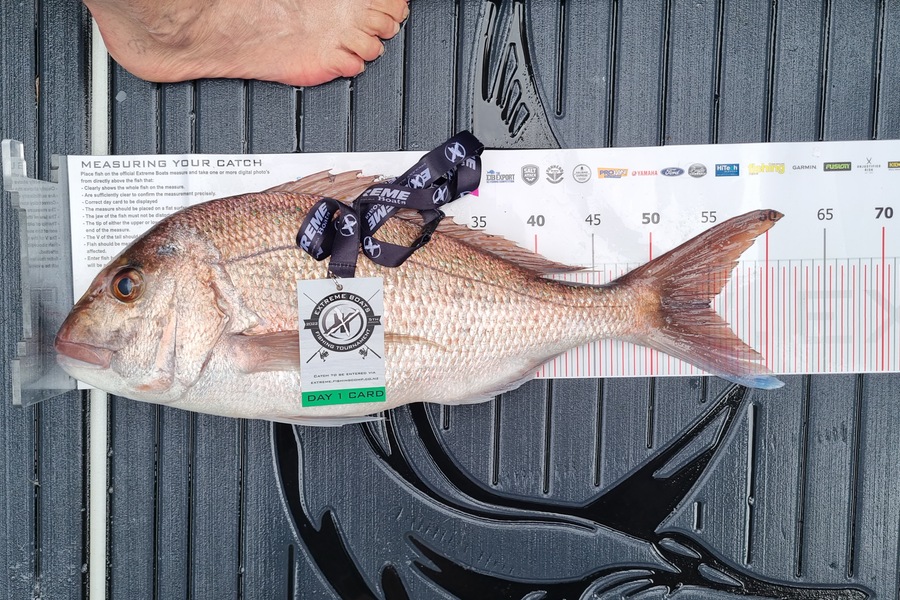 Hayden Begovich caught this 55.0cm Snapper at Whitianga during The Export NZ Fishing Competition