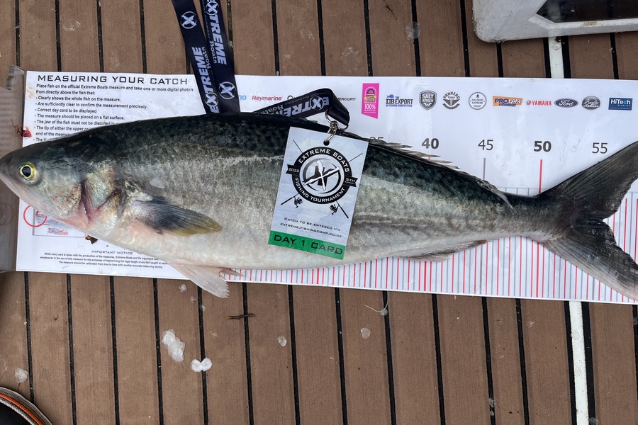 Richard Craven caught this 55.5cm Kahawai at Whitianga during The Export NZ Fishing Competition
