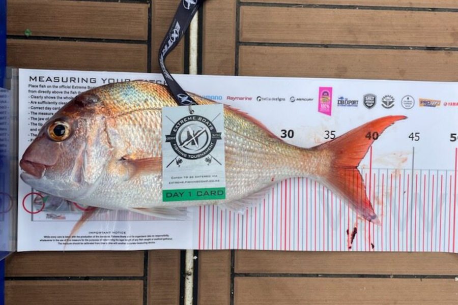 Tess McCormicK caught this 37.5cm Snapper at Whitianga during The Export NZ Fishing Competition