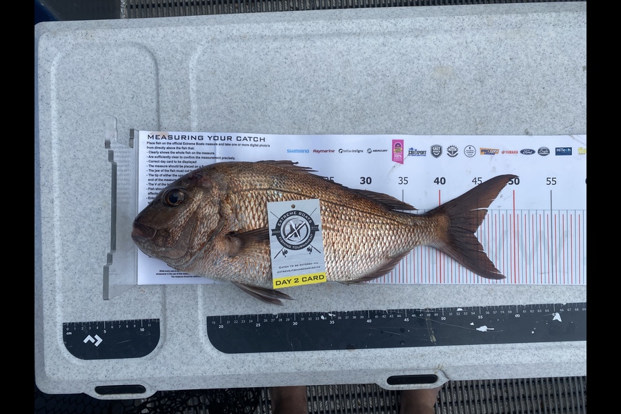 Jack McClymont caught this 44.5cm Snapper at Whitianga during The Export NZ Fishing Competition