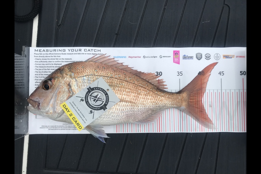 Emma Flintoff caught this 40.0cm Snapper at Whitianga during The Export NZ Fishing Competition