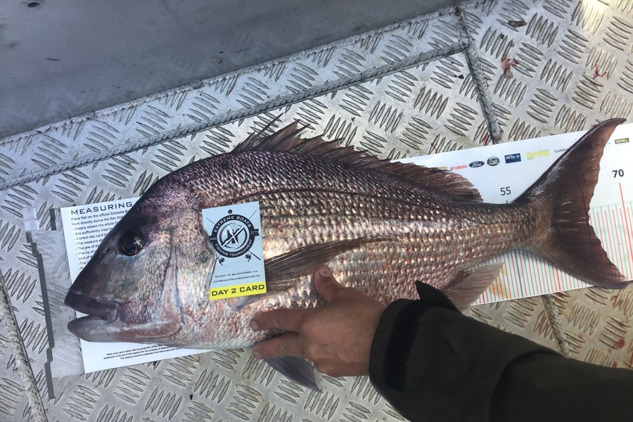 Bruce  Ellwood caught this 65.0cm Snapper at Whitianga during The Export NZ Fishing Competition