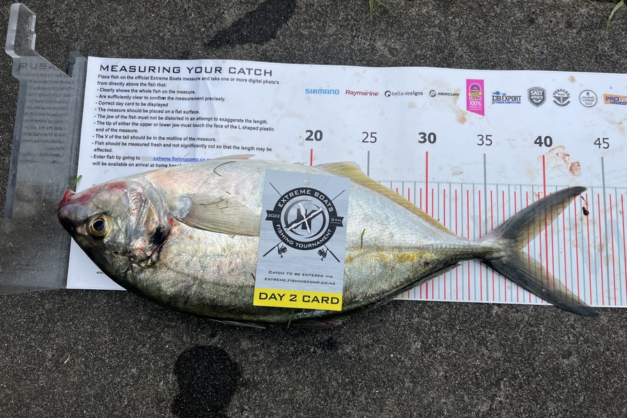 Kevin  Taylor caught this 37.5cm Trevally at Whitianga during The Export NZ Fishing Competition