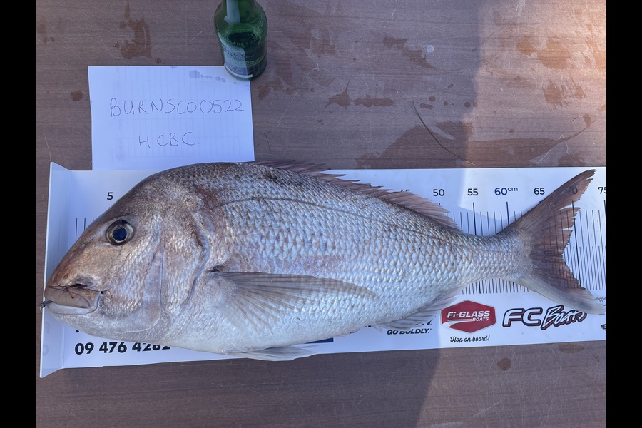 Kim Bayes caught this 67.0cm Snapper at Tiri during The Export NZ Fishing Competition