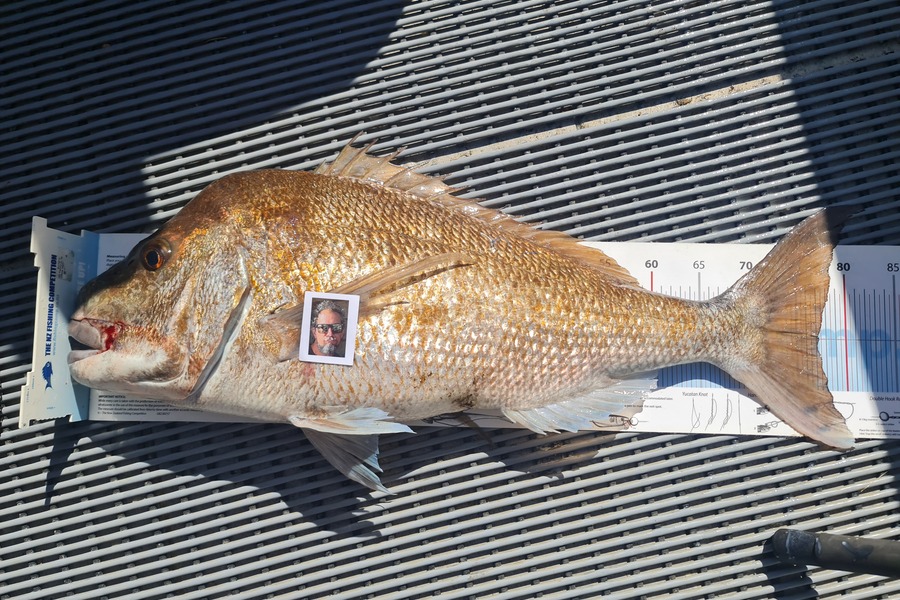 James Klaricich caught this 77.0cm Snapper at Bay of islands during The Export NZ Fishing Competition