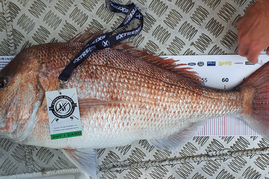 Jake Smith caught this 72.0cm Snapper at Whitanga during The Export NZ Fishing Competition