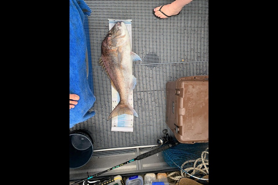 Mark Keatley caught this 83.5cm Snapper at Far north  during The Export NZ Fishing Competition