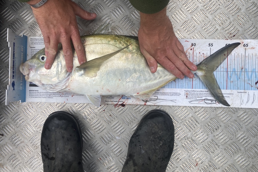 Blake Cottle caught this 56.0cm Trevally at Tasman bay during The Export NZ Fishing Competition