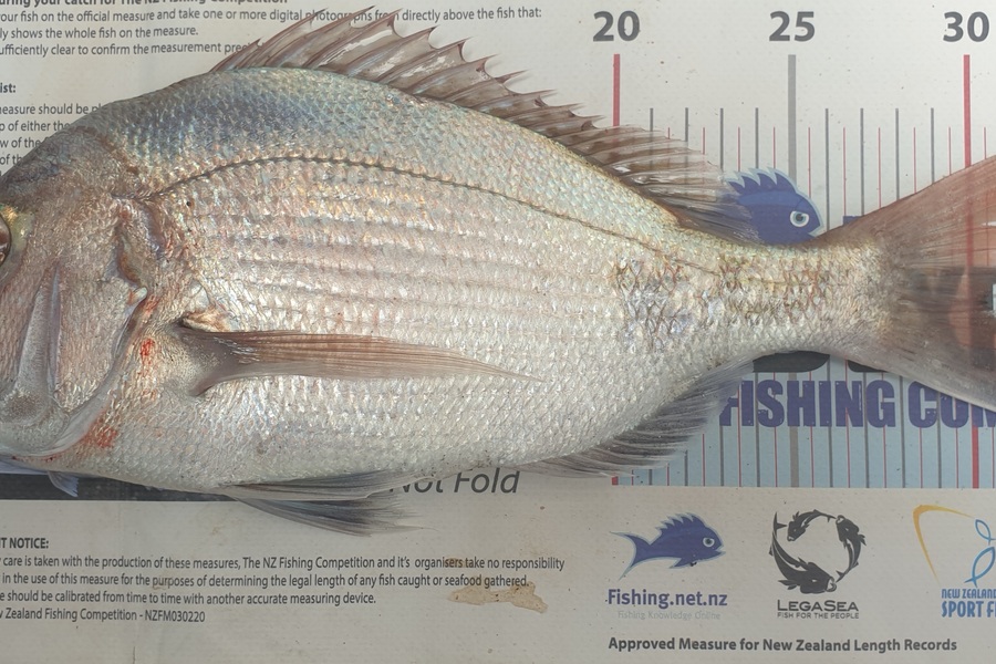 Pat Barrett caught this 30.5cm Snapper at Otaki Beach during The Export NZ Fishing Competition
