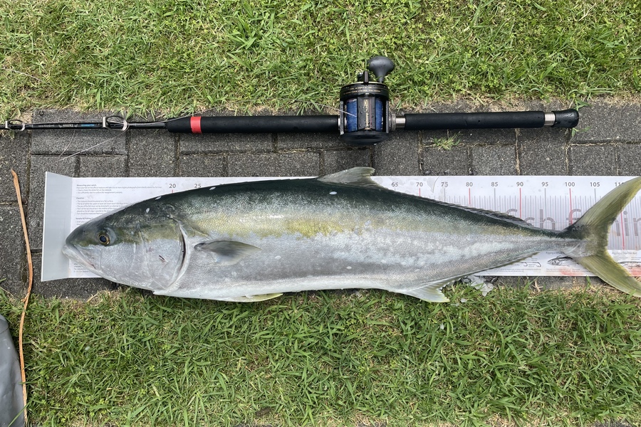 Tom Clancy caught this 107.0cm Kingfish at Manukau Harbour during The Export NZ Fishing Competition