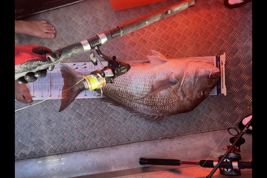 Oliver McPherson caught this 82.0cm Snapper at Tasman Bay during The Export NZ Fishing Competition