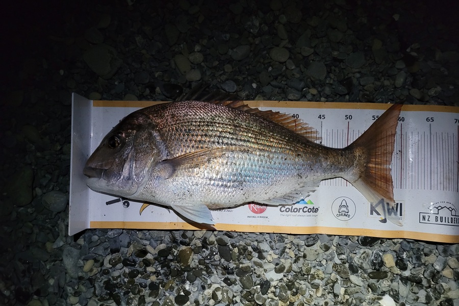 Thomas Garbett caught this 57.5cm Snapper at Kapiti Coast during The Export NZ Fishing Competition