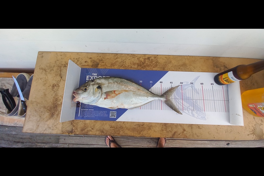 Pieter  Du Plessis  caught this 44.0cm Trevally at Omana during The Export NZ Fishing Competition