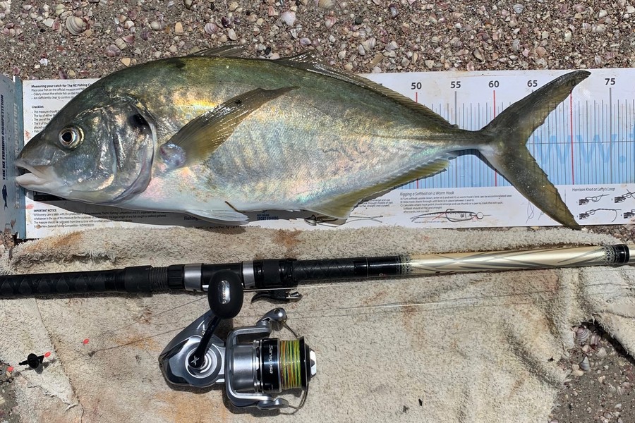 John Ra caught this 64.0cm Trevally at Rangaunu Harbour during The Export NZ Fishing Competition