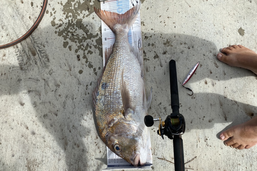 Shane MacRae caught this 72.0cm Snapper at Ohawe  during The Export NZ Fishing Competition
