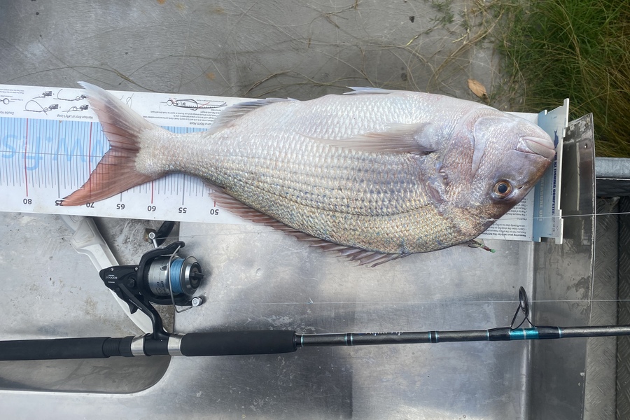 Ryan Mitchell caught this 66.5cm Snapper at Tasman bay during The Export NZ Fishing Competition