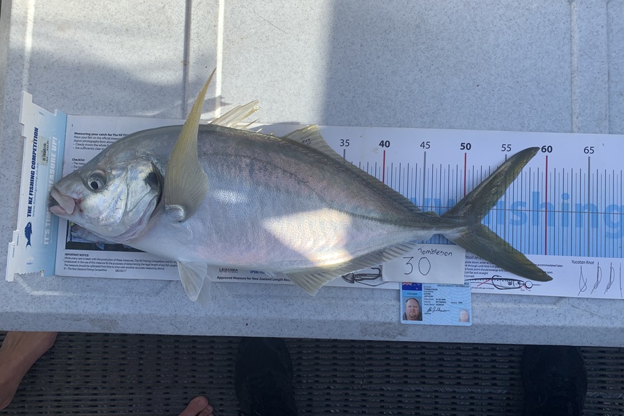 Chris  Tombleson caught this 52.0cm Trevally at Tauranga during The Export NZ Fishing Competition