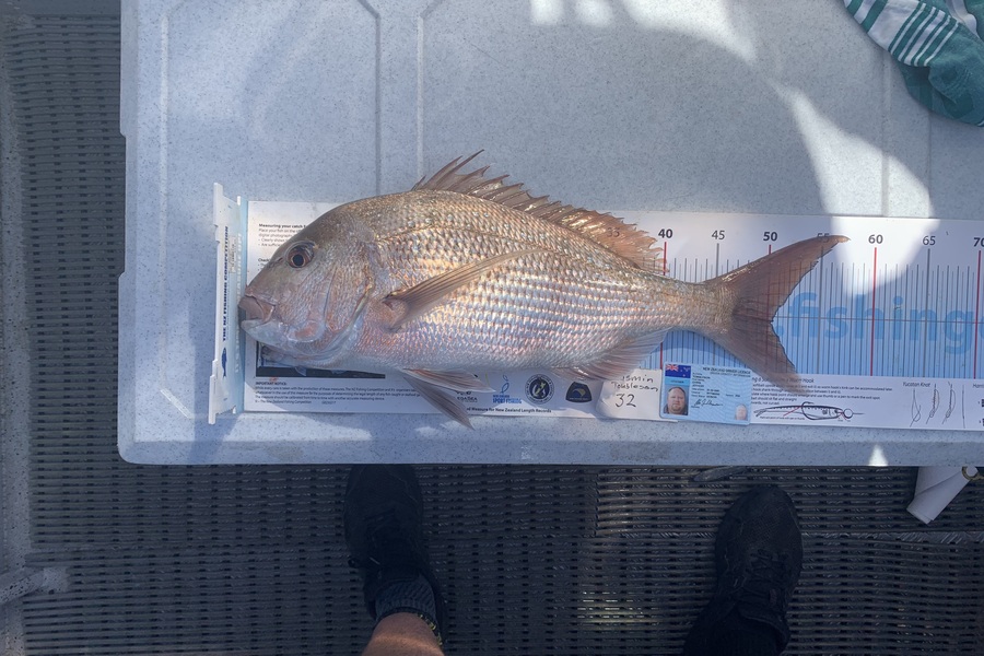 Juniors Raymarine caught this 50.5cm Snapper at Tauranga during The Export NZ Fishing Competition