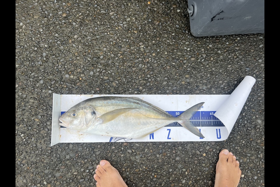 Luke Slobbe caught this 55.0cm Trevally at Kapiti during The Export NZ Fishing Competition