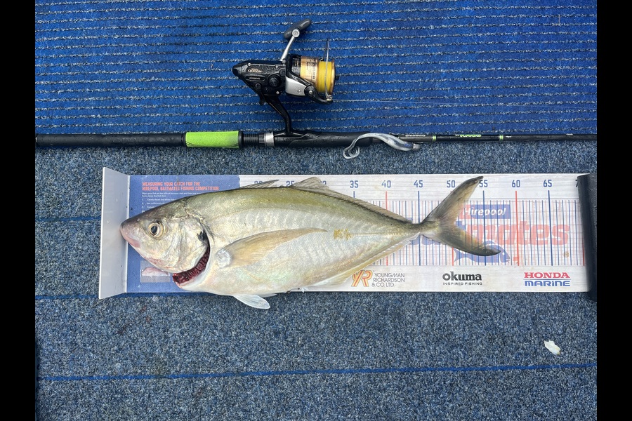 Dave Cunningham caught this 49.5cm Trevally at Ruakaka Rivermouth during The Export NZ Fishing Competition