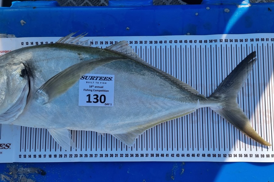 Tim Holmes caught this 54.5cm Trevally at Coromandel during The Export NZ Fishing Competition