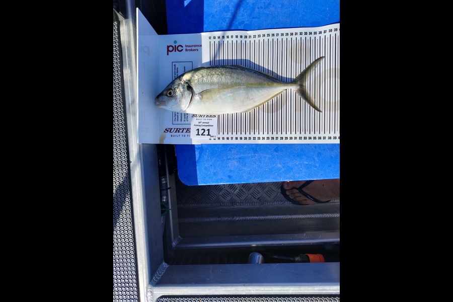 Brent Vlug caught this 33.0cm Trevally at Coromandel during The Export NZ Fishing Competition