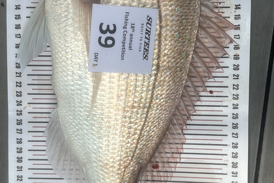 Lochlainn Fitzgerald-Symes caught this 41.5cm Snapper at Coromandel during The Export NZ Fishing Competition
