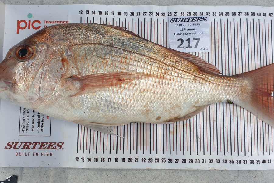 Brian Guptill caught this 41.5cm Snapper at Coromandel during The Export NZ Fishing Competition
