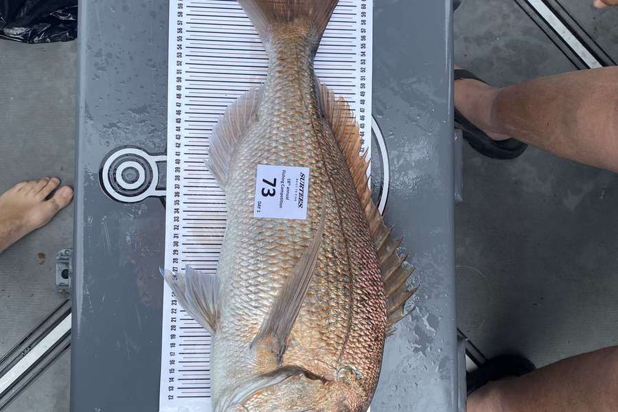 Kane Campbell caught this 62.0cm Snapper at Coromandel during The Export NZ Fishing Competition
