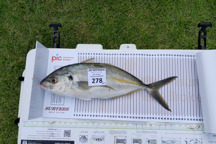 Wajira Soorijahetti caught this 42.0cm Trevally at Coromandel during The Export NZ Fishing Competition