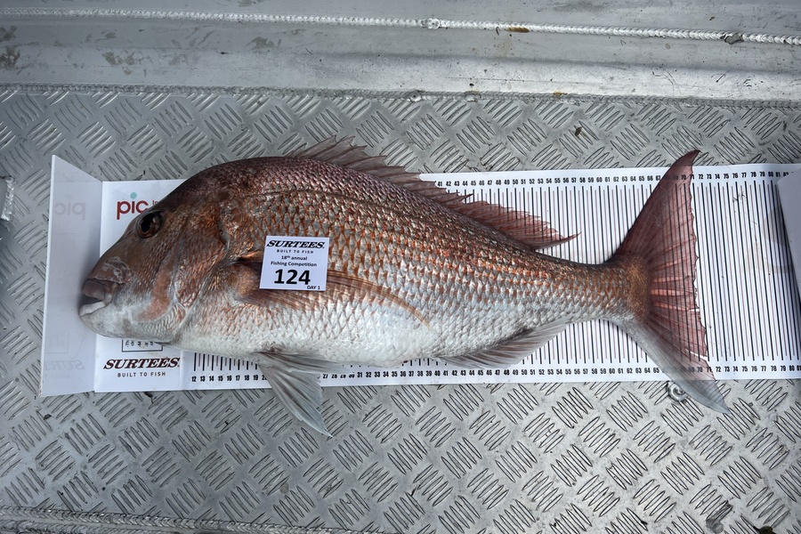 Zak Jacobs caught this 70.0cm Snapper at Coromandel during The Export NZ Fishing Competition