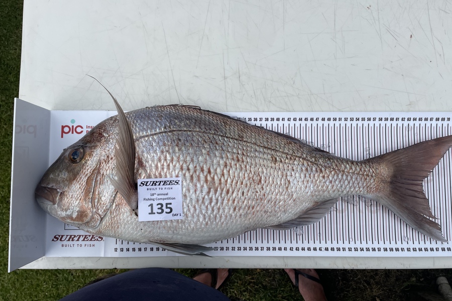 Johnny Bright caught this 65.0cm Snapper at Mercury islands during The Export NZ Fishing Competition