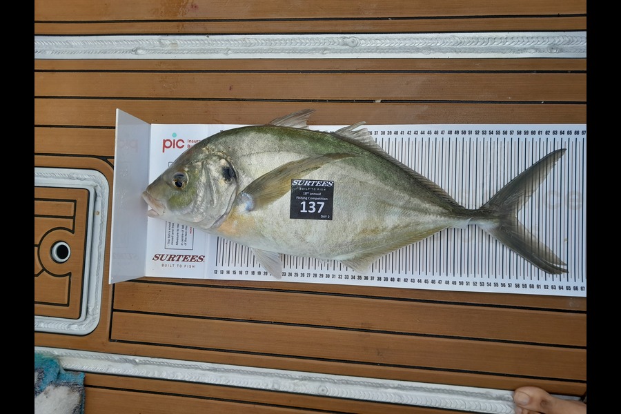Laura McInnes caught this 57.5cm Trevally at Whitianga during The Export NZ Fishing Competition
