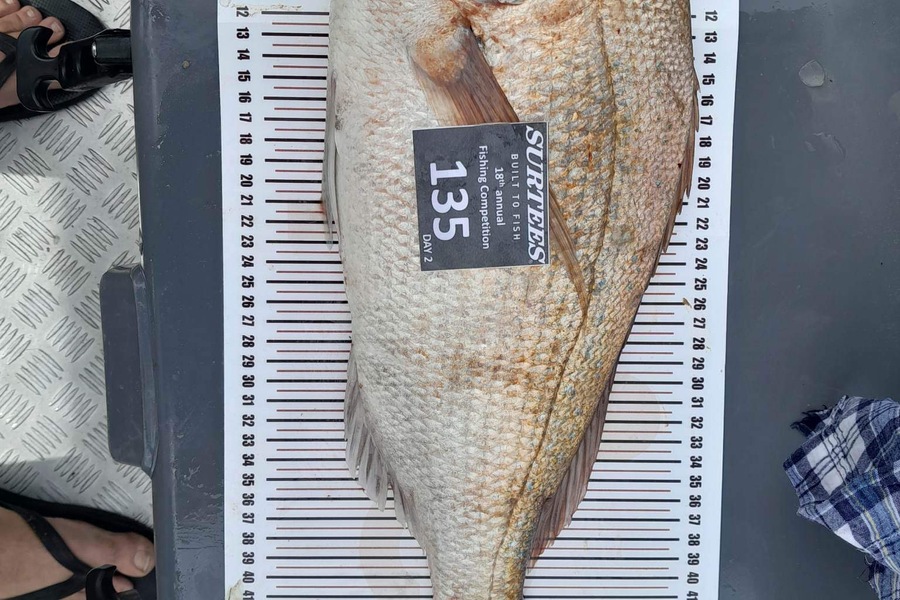Johnny Bright caught this 48.5cm Snapper at Coromandel during The Export NZ Fishing Competition