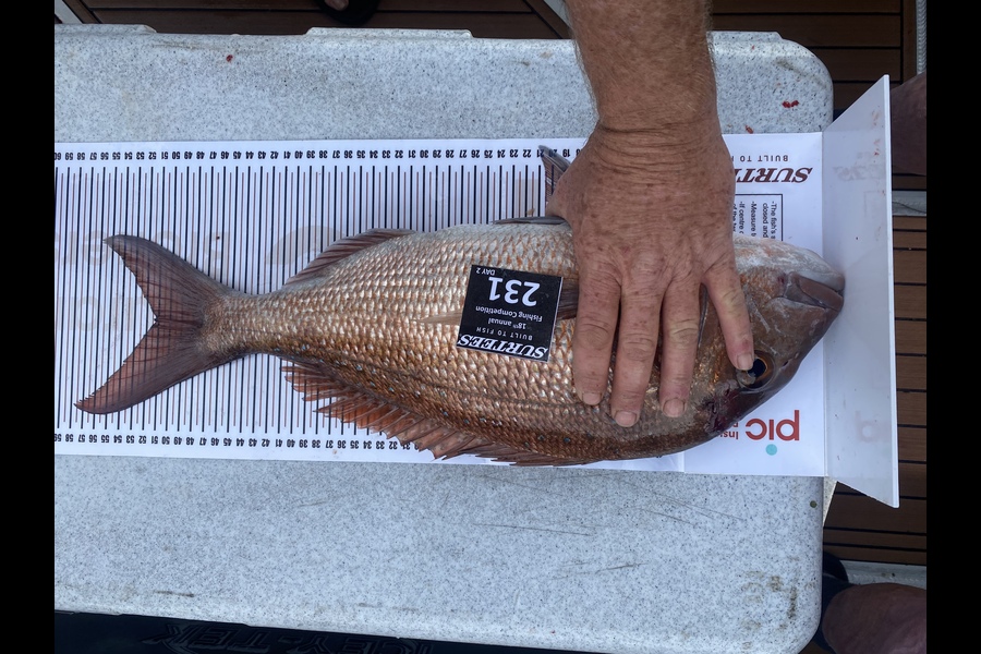 Steve Milbank caught this 51.0cm Snapper at Coromandel during The Export NZ Fishing Competition