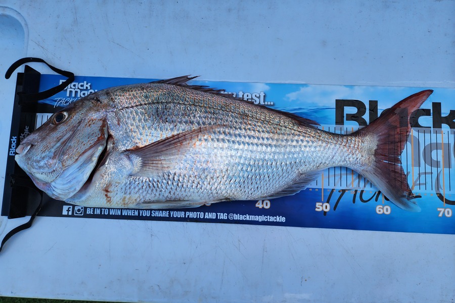 Jason  Smith caught this 62.5cm Snapper at Kapiti during The Export NZ Fishing Competition