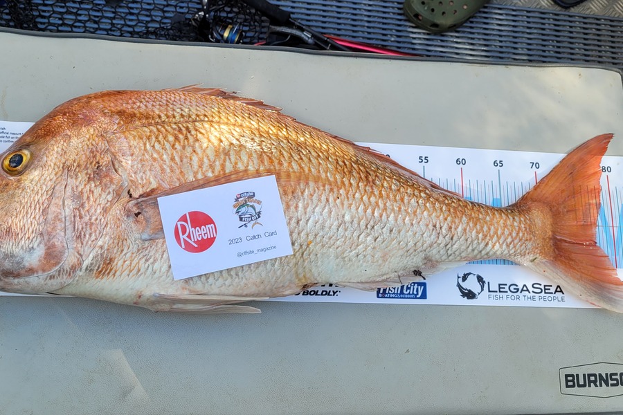 Simon Hopkins caught this 77.5cm Snapper at Coromandel during The Export NZ Fishing Competition